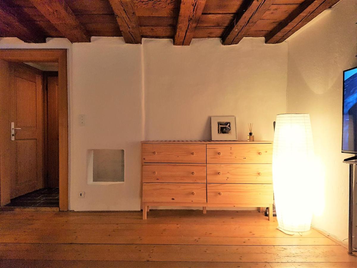 Swiss Chalet Style Zurich Ngoại thất bức ảnh